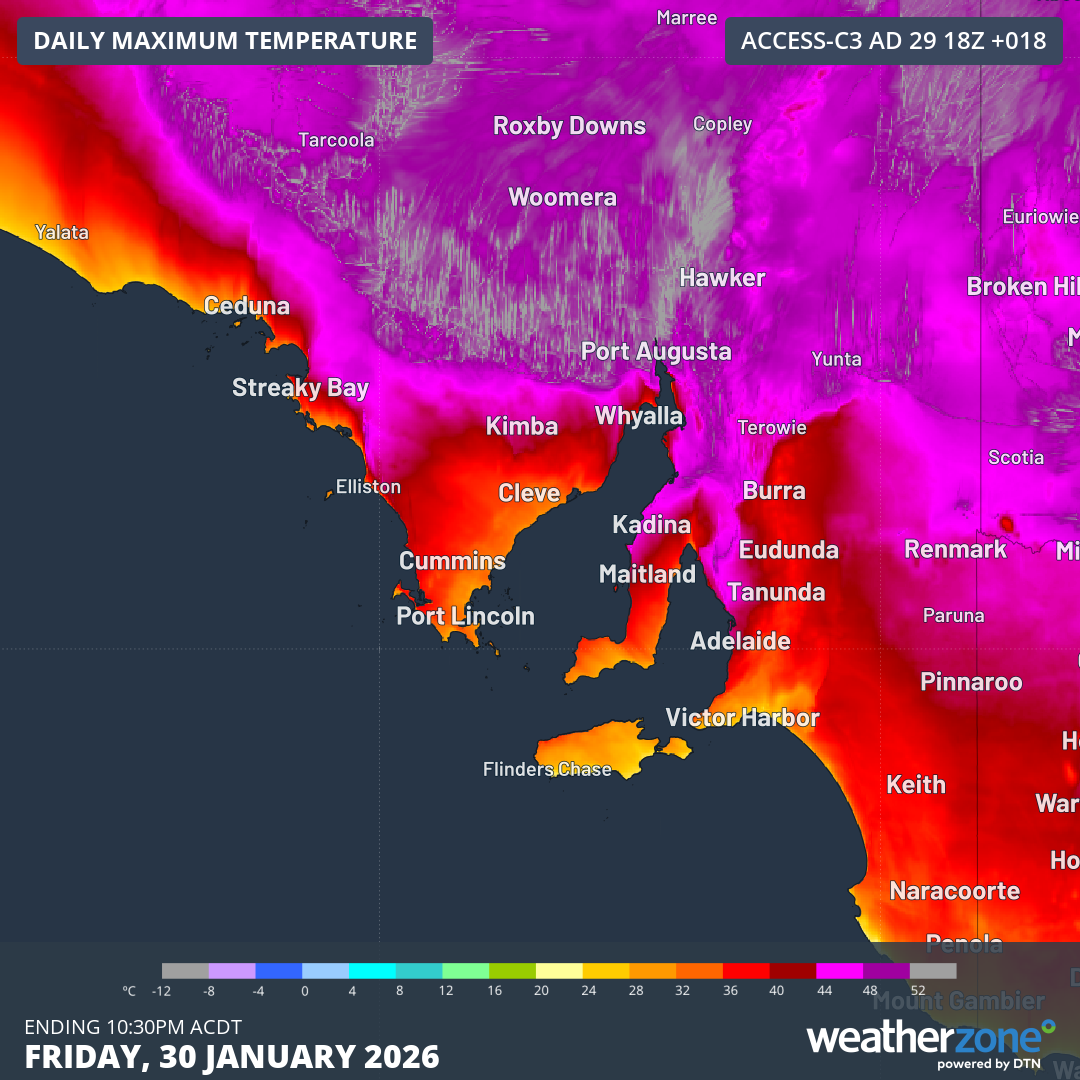 Forecast maximum temperatures over SA on Friday, January 30, 2026, according to the ACCESS-C model. Source: Weatherzone.