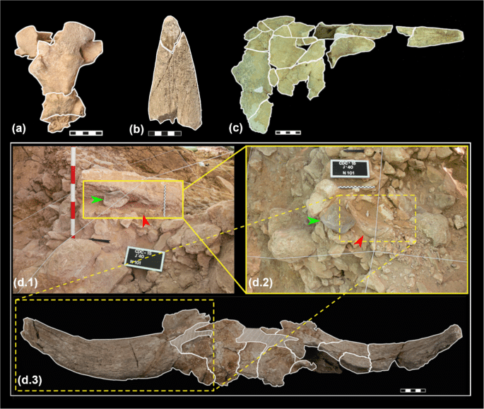 12520 2025 2382 Fig8 Html