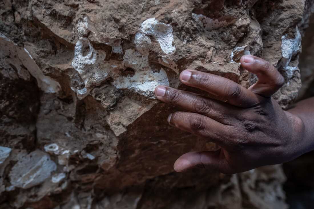 Paleontologist Lazarus Kgasi inspects a piece of fossilised bone during a visit to one of his dig sites in the Cradle of Humankind in Gauteng Province, South Africa. Kgasi began his career working as a hired labourer on the dig sites of others but has since become a highly respected paleontologist and a junior curator at Pretoria's Ditsong National Museum of Natural History. He is one of very few Black paleontologists working in South Africa.