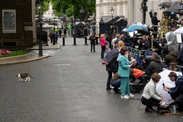 A police officer watches as Larry the Cat, Britain's mouse-catcher in chief and long time resident at the leader's official residence, walks away from the media gathered in Downing Street in London, Friday, July 5, 2024. (AP Photo/Vadim Ghirda, File)