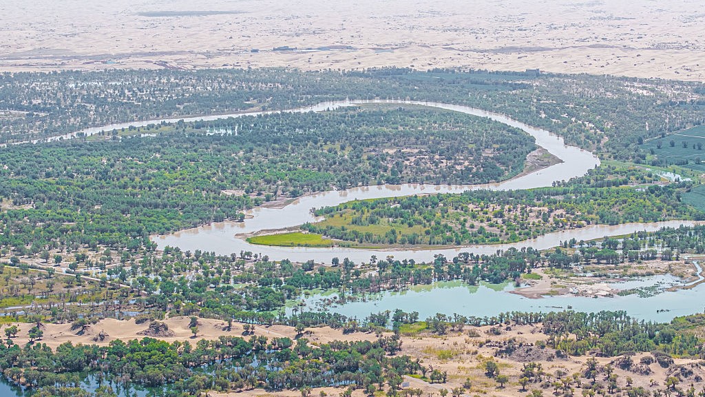 Aerial view of the Tarim River on the edge of the Taklamakan Desert in China.