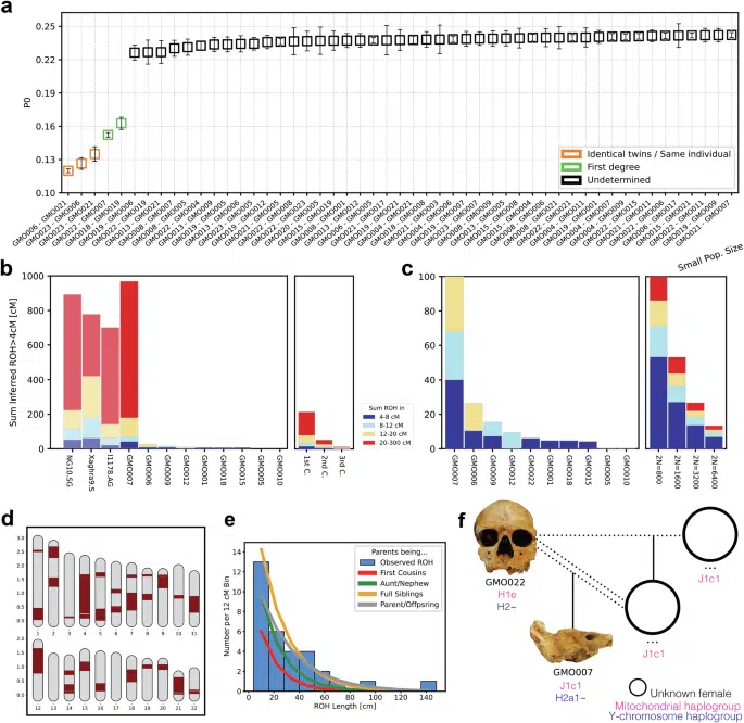 Genetic Relatedness And Family Lineage Reconstruction In The Grotta Della Monaca Population.