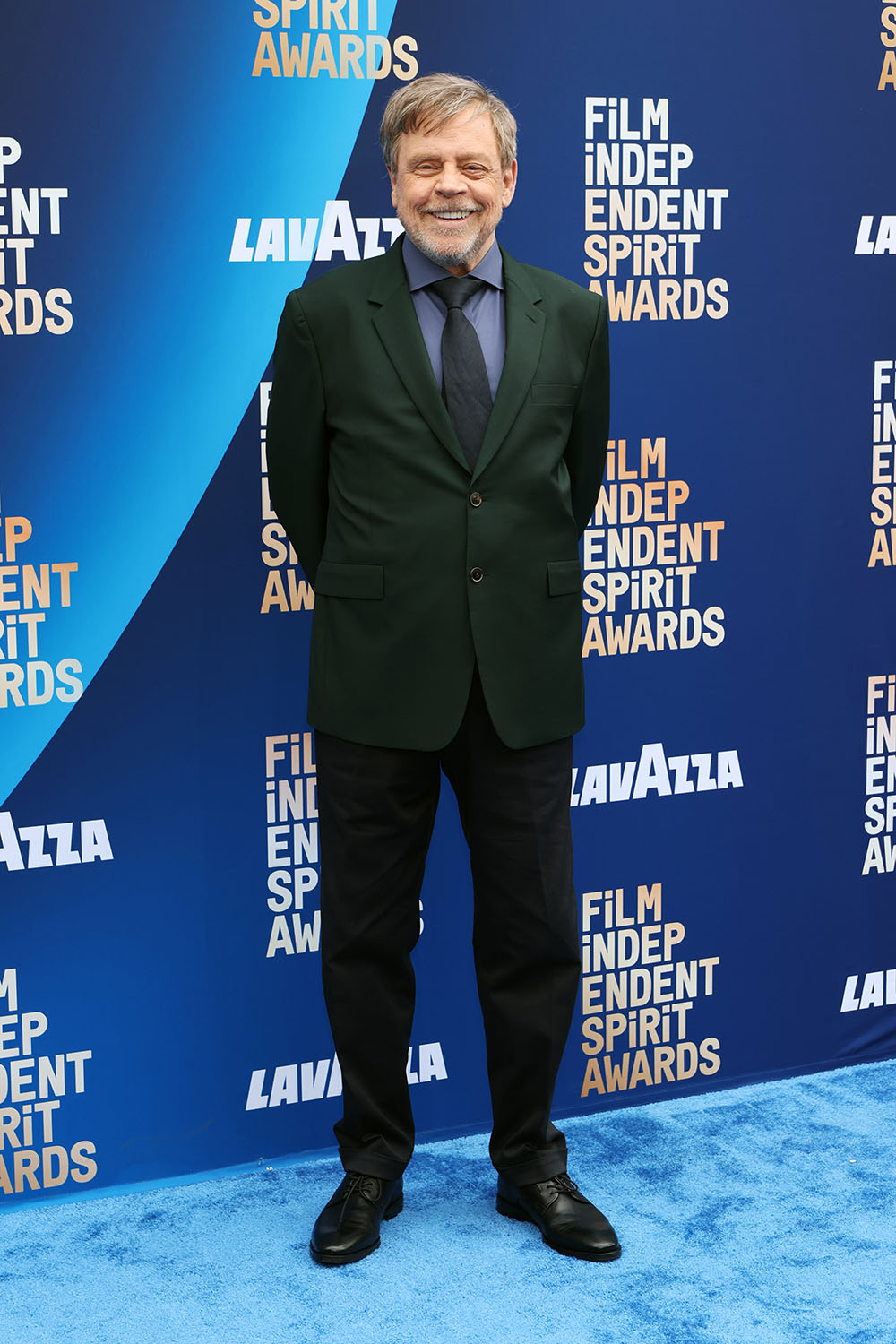 Mark Hamill 2026 Film Independent Spirit Awards - Arrivals