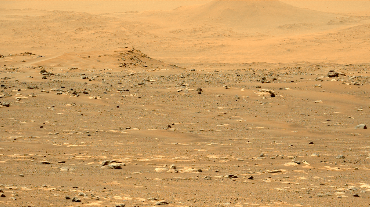 A sandy area with rocks.