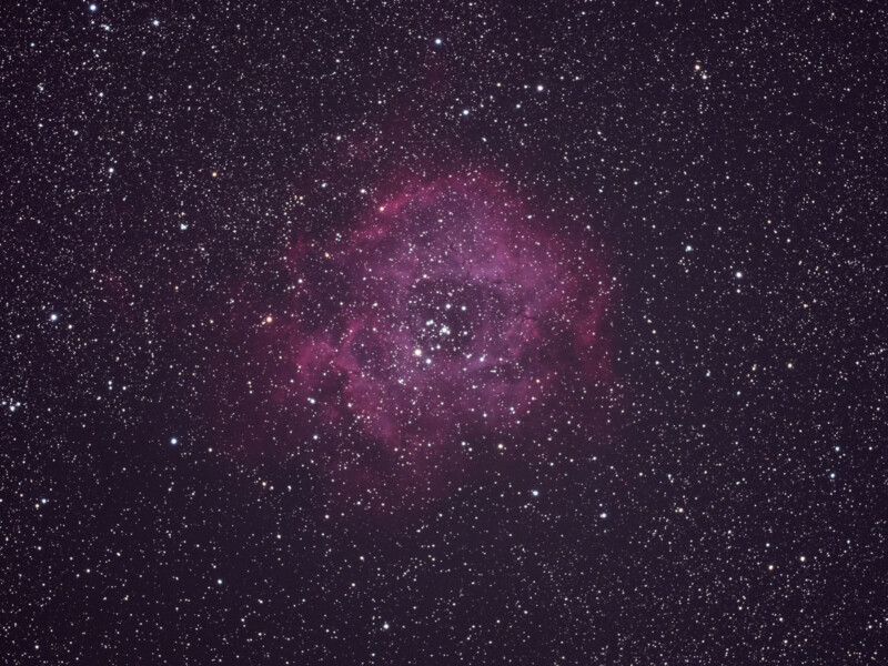 A bright pink nebula with a cluster of stars at its center, surrounded by numerous white stars scattered across the dark night sky.