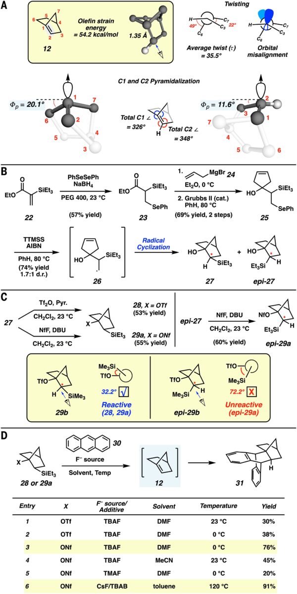 Structural Analysis Of [2.2.1] Abo 12 And Synthesis Of A Precursor For Abo Generation