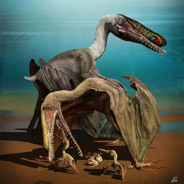 Visual Reconstruction Of A Nesting Group Of Hamipterus Tianshanensis