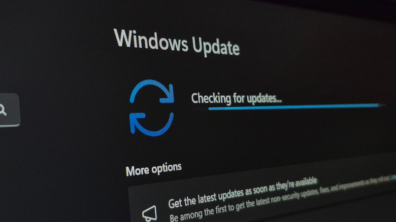 Windows Update menu in Windows 11 checking for updates.