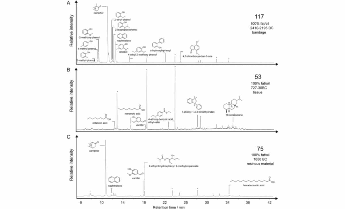 Chromatograms Of 100% Fatoil Embalming Materials From Bandage, Tissue, And Resin Samples ©journal Of Archaeological Science