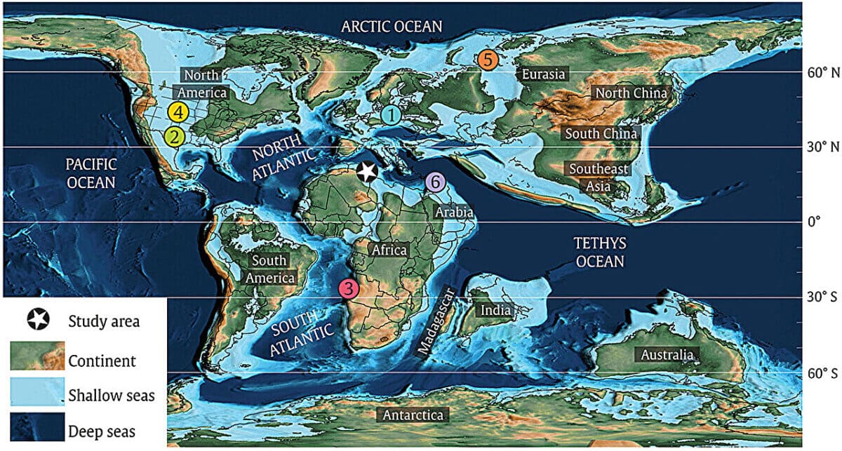 First Plesiosaurian Fo 1