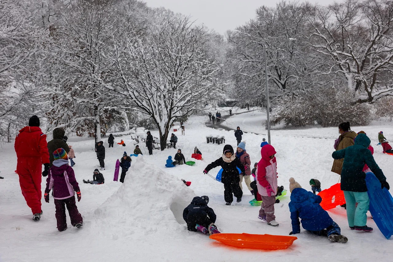 People enjoy an afternoon of sledding in Prospect Park.
