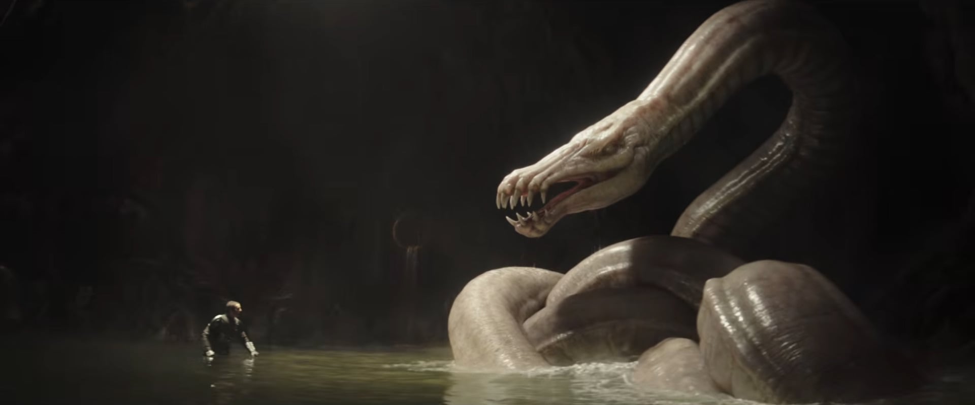 Mandalorian And Grogu Trailer Breakdown Dragonsnake