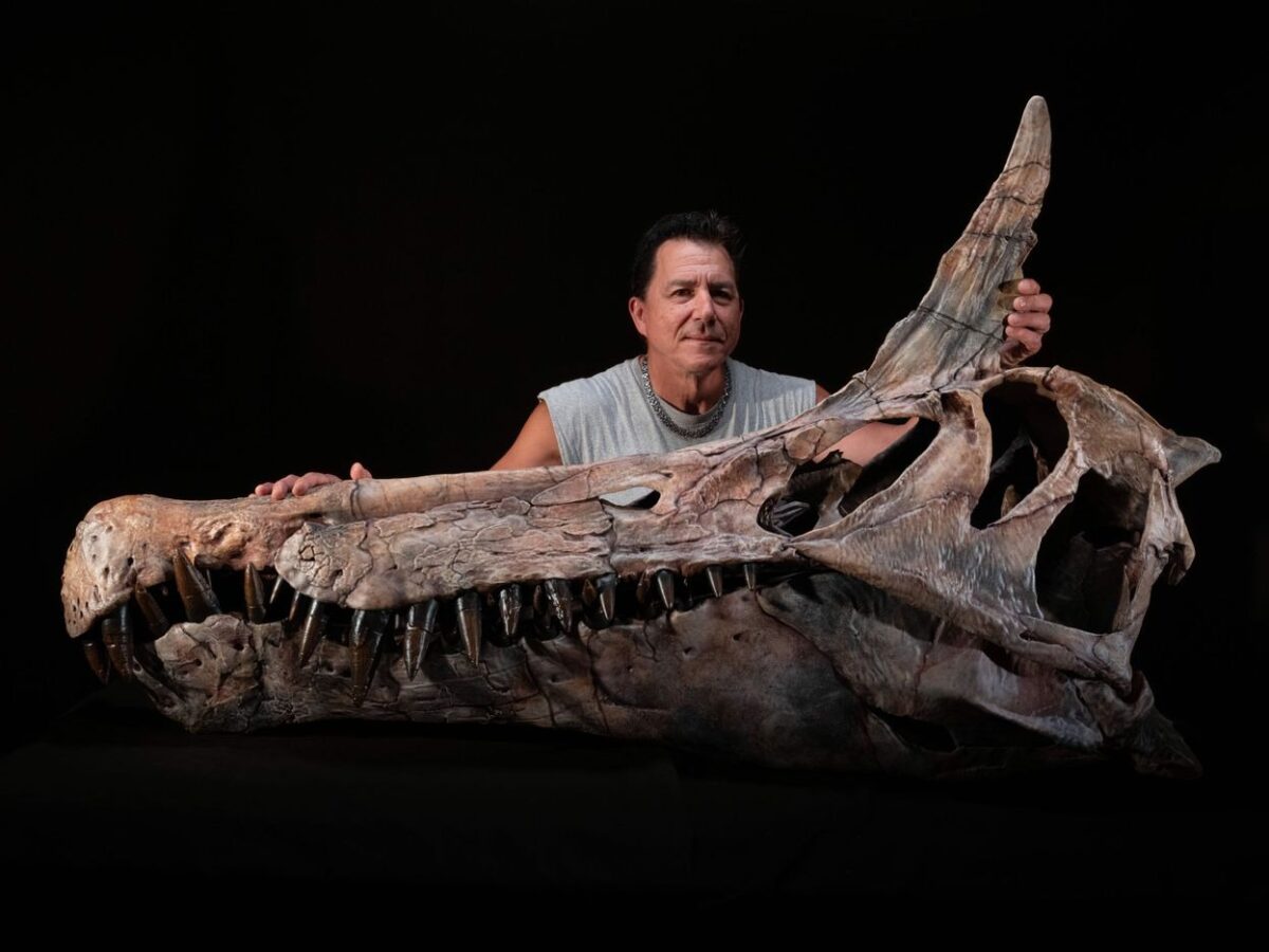 Paleontologist Paul Sereno Marvels At The Cast Of The Skull Of The First Dinosaur.