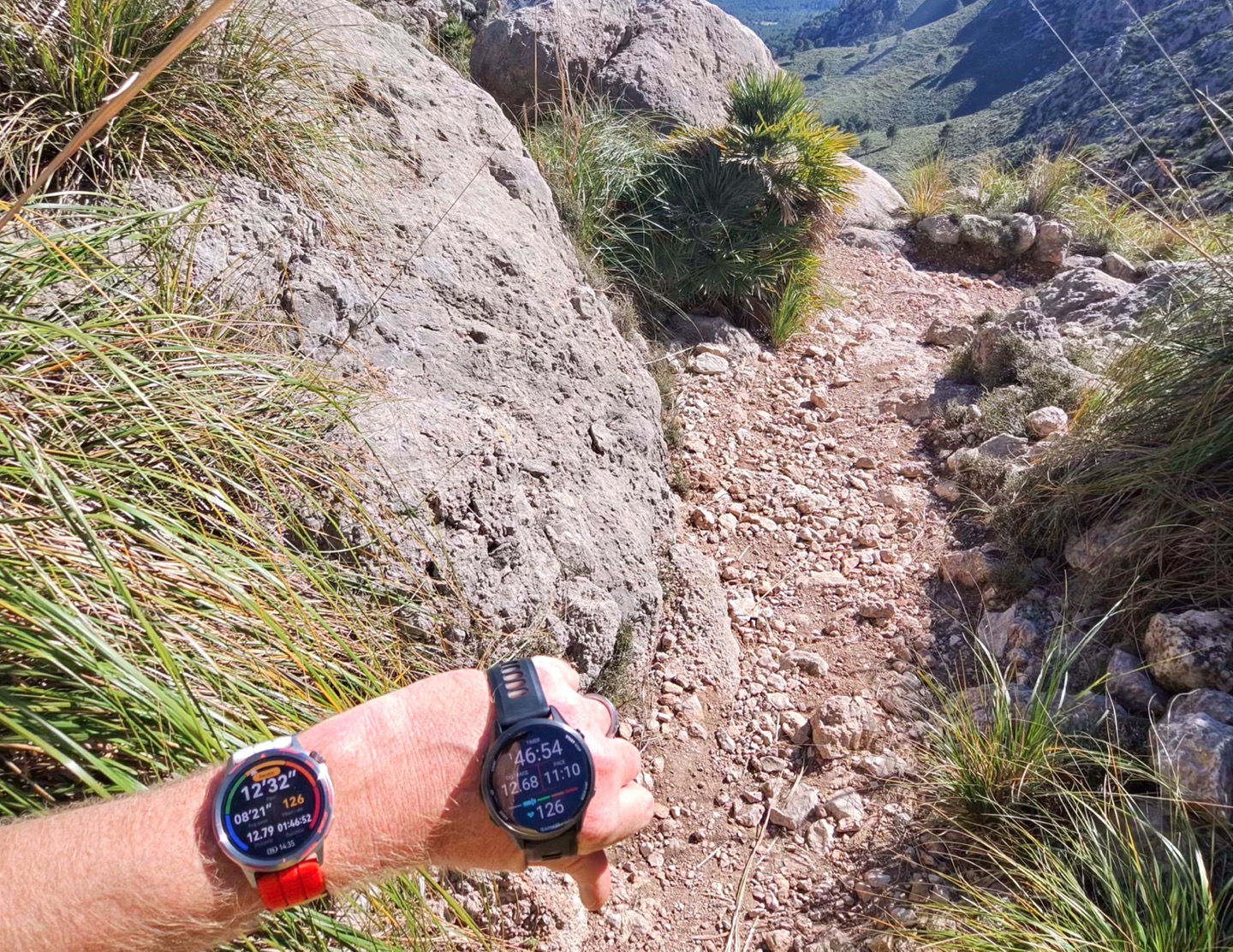 Photo-6713 singular display fullPicture.