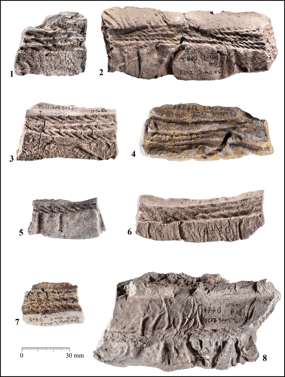 Urn Cambridge.org Id Binary 20251223171132744 0238 S0003598x25102597 S0003598x25102597 Fig5