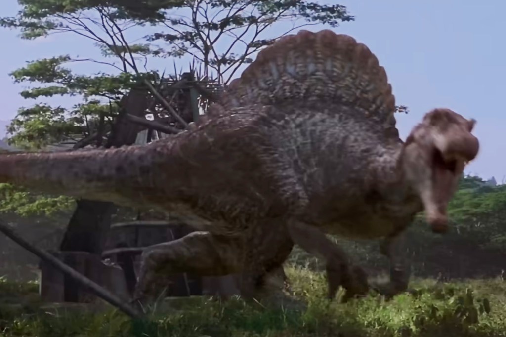 A large, brown Spinosaurus with a distinctive sail on its back, emerges from the left, its mouth open, seemingly roaring, as it chases something in a jungle environment.