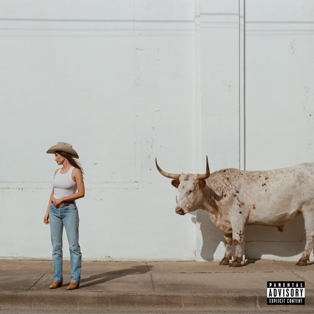 The cover art for Kacey Musgraves' album Middle of Nowhere