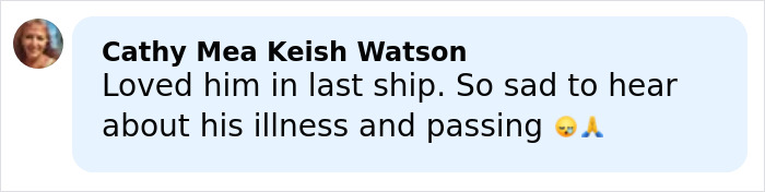 Comment from Cathy Mea Keish Watson expressing sadness about Eric Dane’s cause of passing and his illness after his heartbreaking loss.