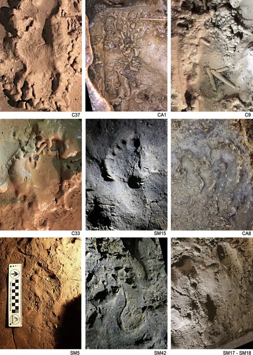 Human Footprints Left On A Muddy Surface Under Different Moisture Levels.