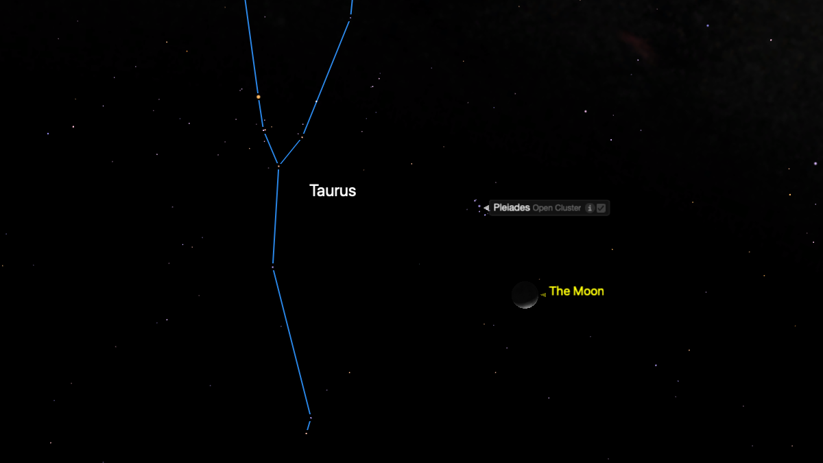 night sky map showing the constellation taurus on the left and the thin crescent moon on the right