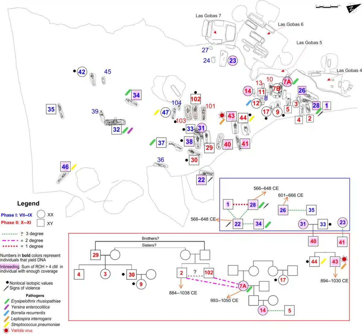 Las Gobas Site Map Showing Burial Areas, Trauma, And Disease Evidence.