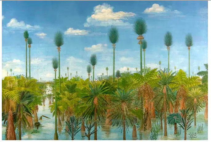 Reconstruction Of A Permian Swamp Forest