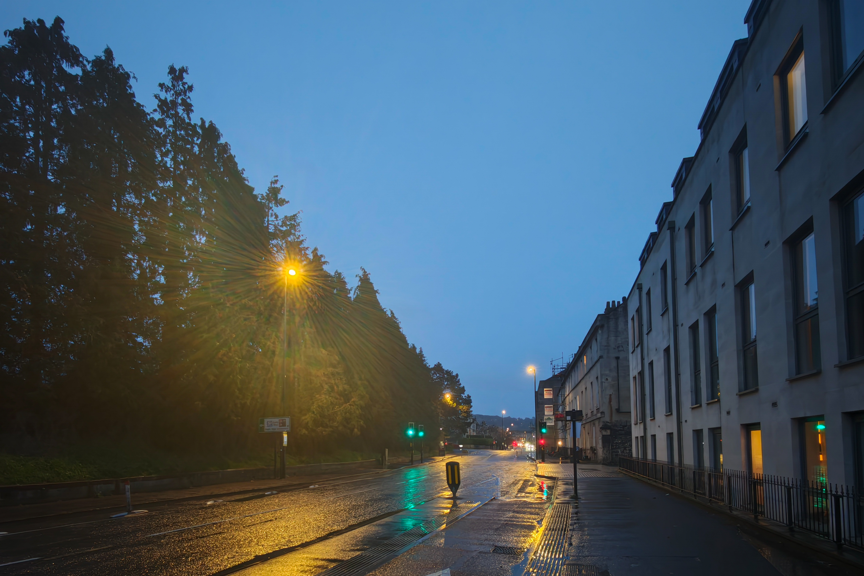 Leica Leitzphone vs Google Pixel 10 Pro XL comparison