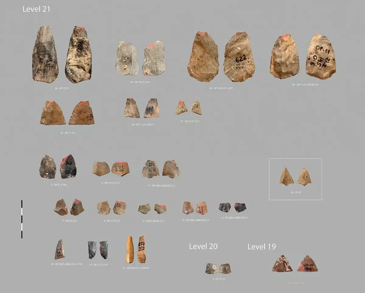 Arrowheads In Uzbekistan 1