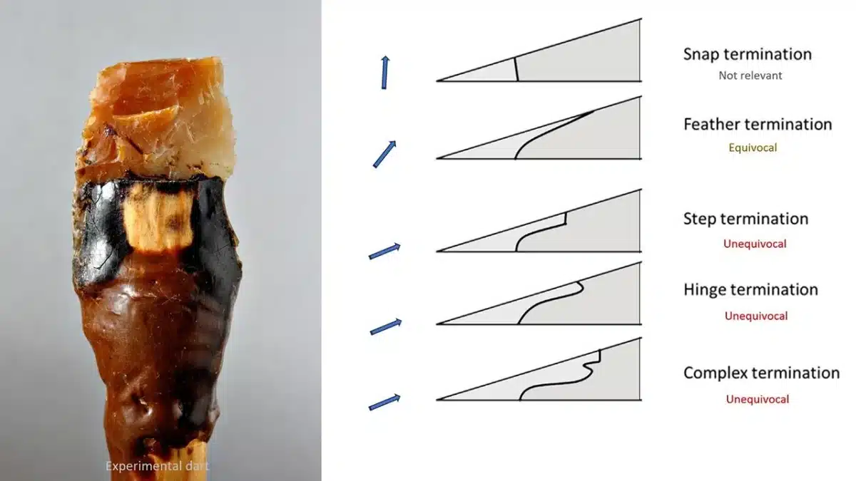 Arrowheads In Uzbekistan 3