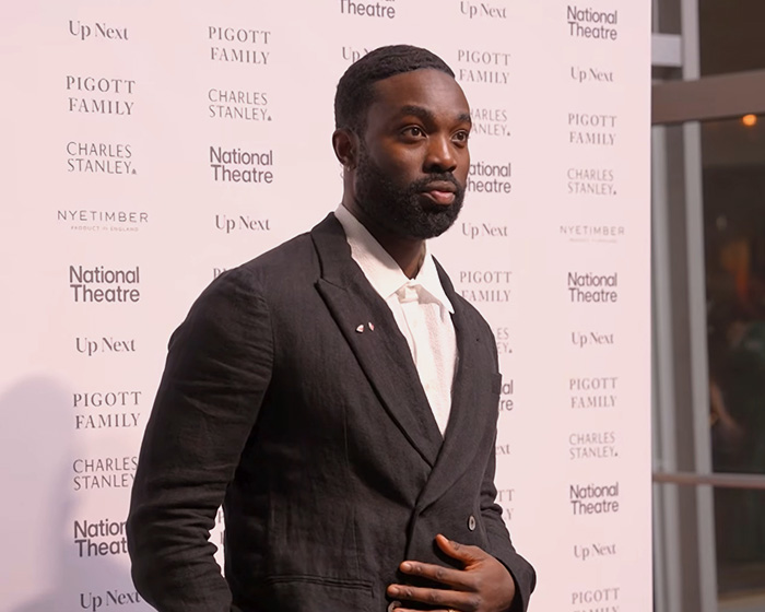 Actor at National Theatre event, related to HBO Harry Potter series trailer and character race change controversy.