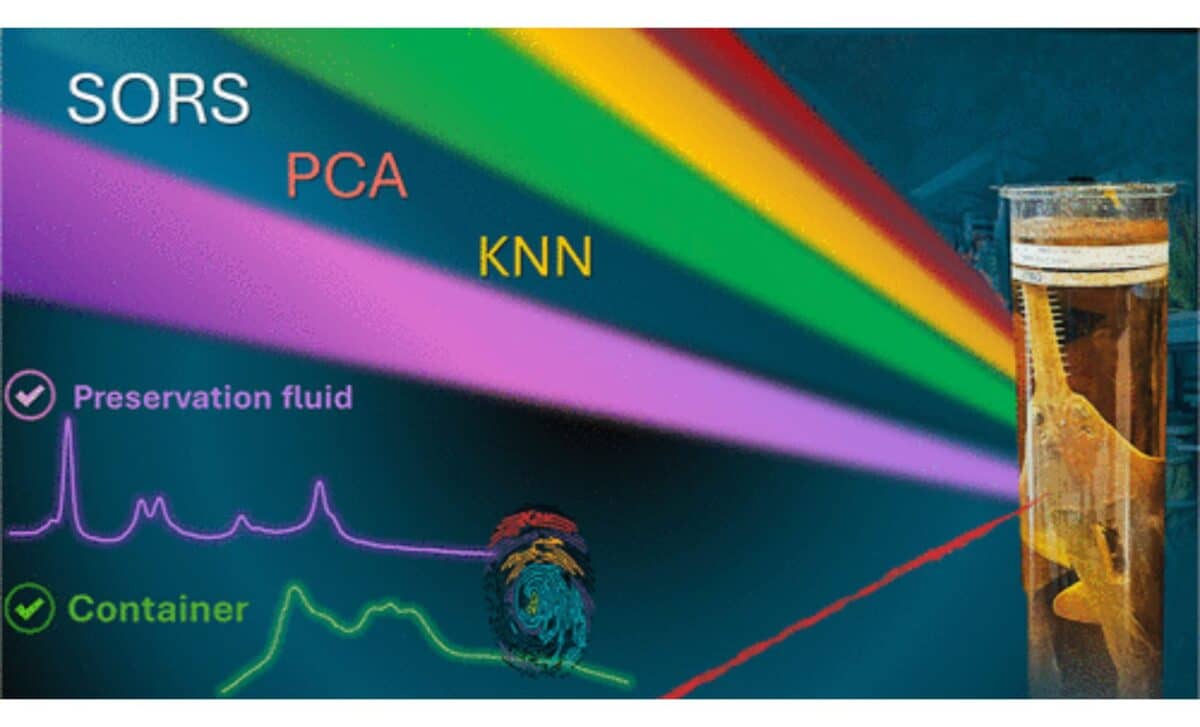 Illustration Of The Sors Method ©acs Omega