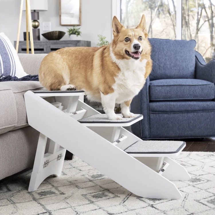 Petsafe Steps and Ramp
