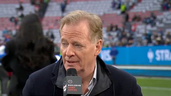 Steelers Roger Goodell