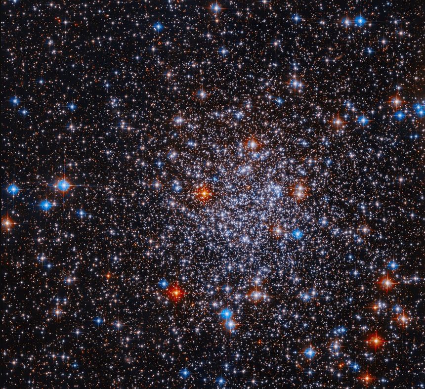 Globular clusters are spherical agglomerates of stars bound together by gravity, like this one called ESO 591-12 or Palomar 8, photographed by Hubble.