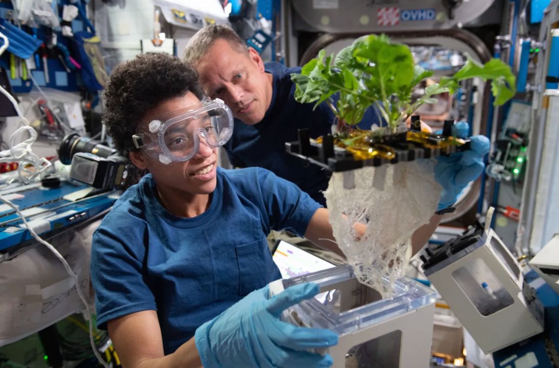 NASA astronauts Jessica Watkins (front) and Bob Hines work on XROOTS aboard the International Space Station. This experiment used the station’s Veggie facility to test soilless hydroponic and aeroponic plant growth.