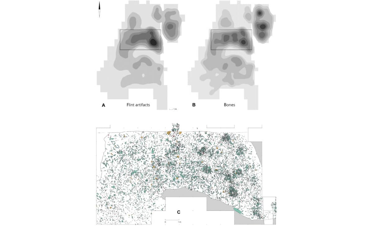  Spatial Distribution Of Lithics And Faunal Remains