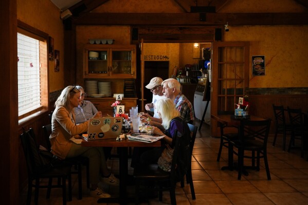 Members of the Goochland Democratic Committee Jen Strozier, Doug Mock, Chris Svoboda, Richard Grebe and Judi Sheppard hold a lunch meeting on future get-out-the-vote efforts for the Virginia redistricting referendum, Thursday, April 2, 2026, at GG's Pizza in Maiden, Va. (AP Photo/Julia Demaree Nikhinson)