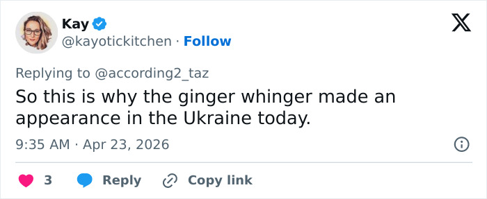 A screenshot of a Twitter post by Kay @kayotickitchen. This alt text focuses on Prince Louis portrait and family comparisons.