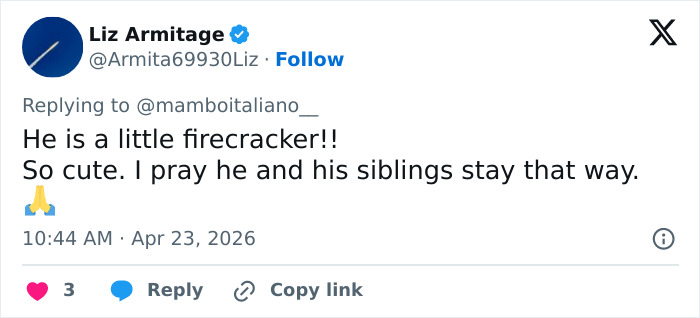 A tweet from Liz Armitage, praising Prince Louis for being a little firecracker and cute, hoping he and his siblings stay that way.