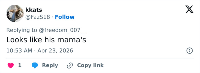 A user comment on X, saying "Looks like his mama's," possibly referring to Prince Louis' Portrait and a family comparison.