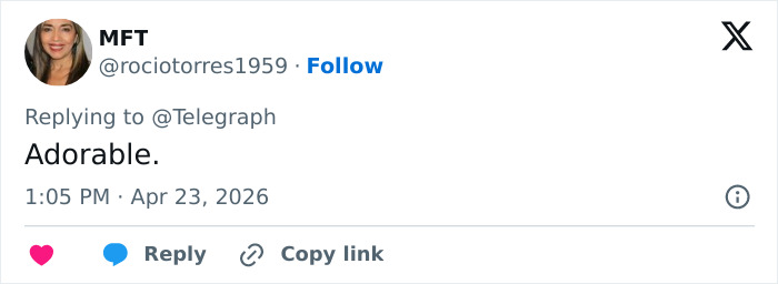 A tweet from MFT saying Adorable, likely in response to Prince Louis' portrait for his 8th birthday.