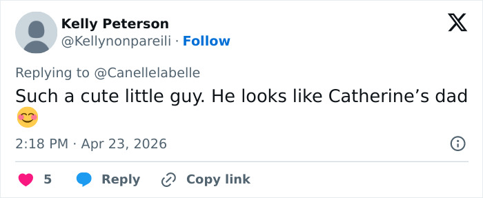 A tweet from Kelly Peterson stating, "Such a cute little guy. He looks like Catherine's dad." This relates to Prince Louis' portrait and family comparison.