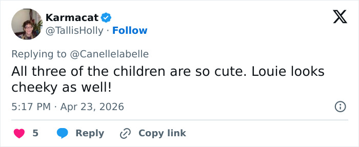 A tweet from @TallisHolly stating, All three of the children are so cute. Prince Louis looks cheeky as well!