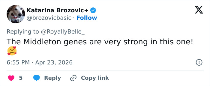 A Twitter user comments on Prince Louis' portrait, noting strong Middleton genes and family comparison.