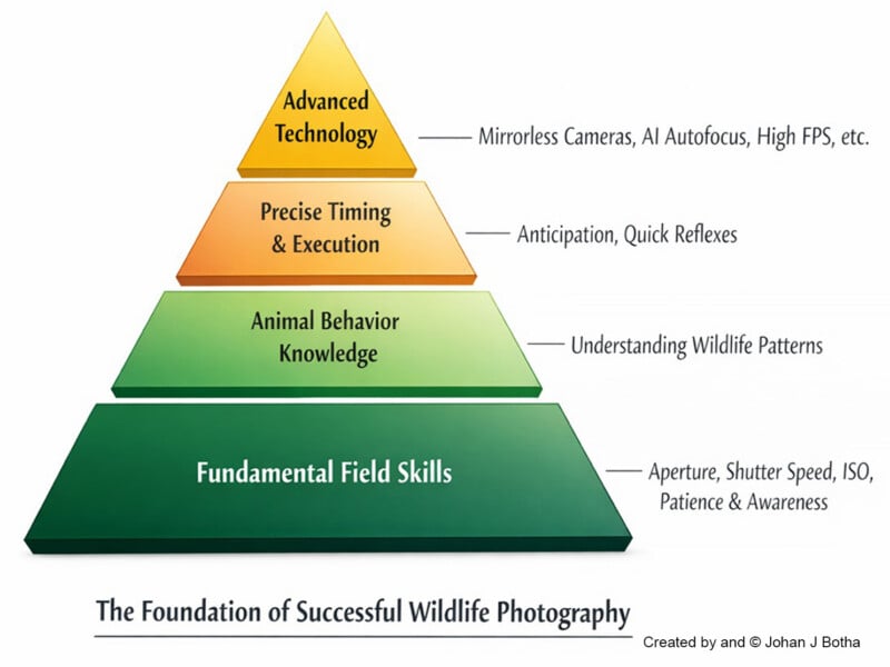 A four-level pyramid diagram shows the foundation of successful wildlife photography: fundamental field skills, animal behavior knowledge, precise timing and execution, and advanced technology. Each level lists relevant skills or tools.