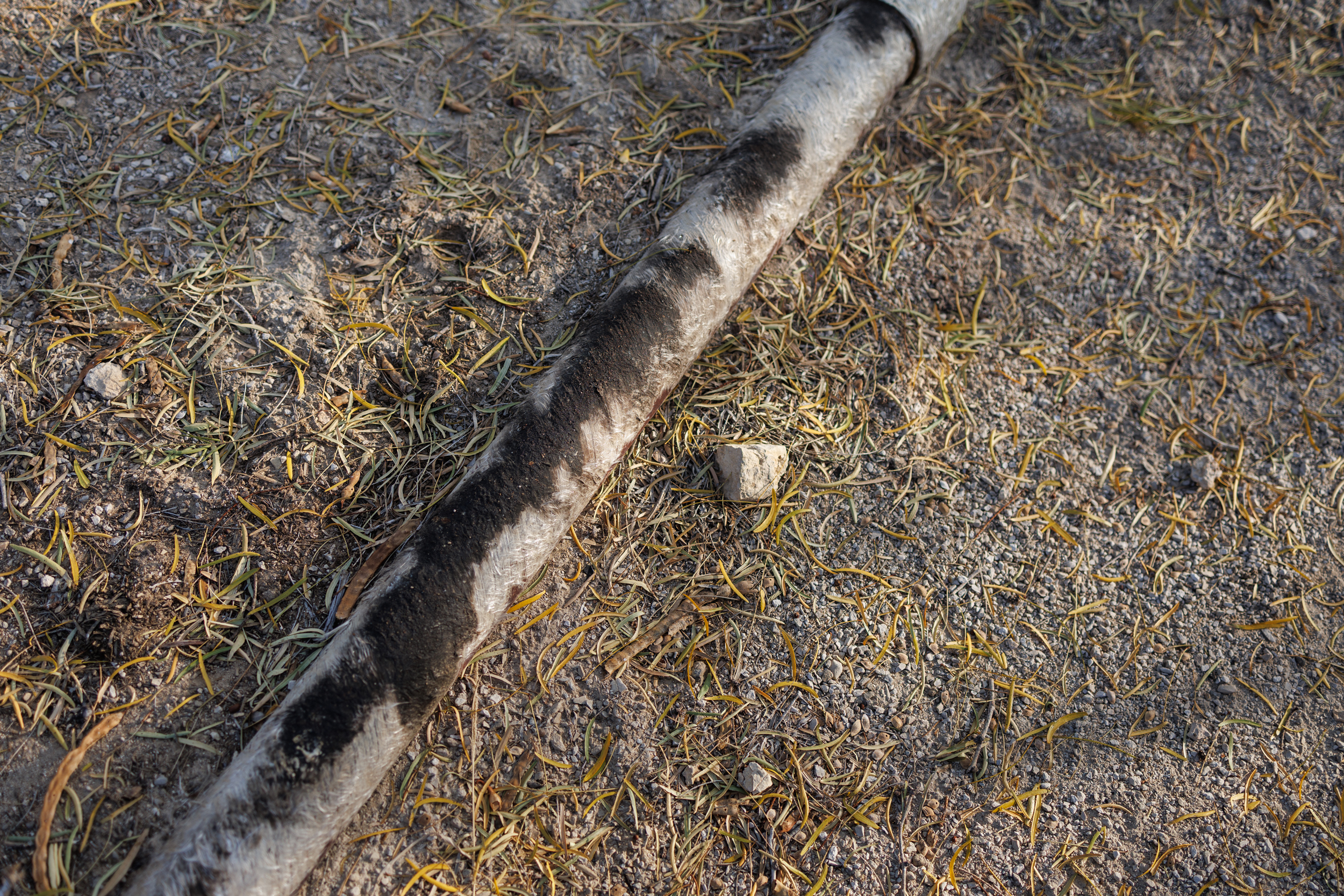 A leaky oil pipe sits on the ground next to a tank battery operated by CORE Petro on Jackie Chestnutt’s property near Knickerbocker, Texas.